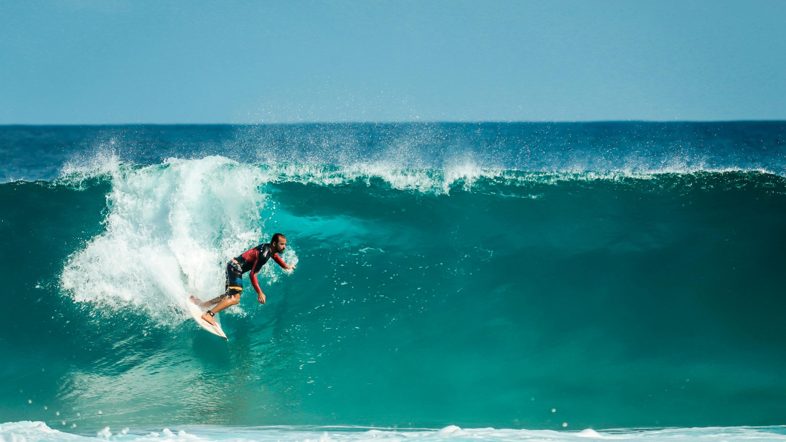 Surf expert