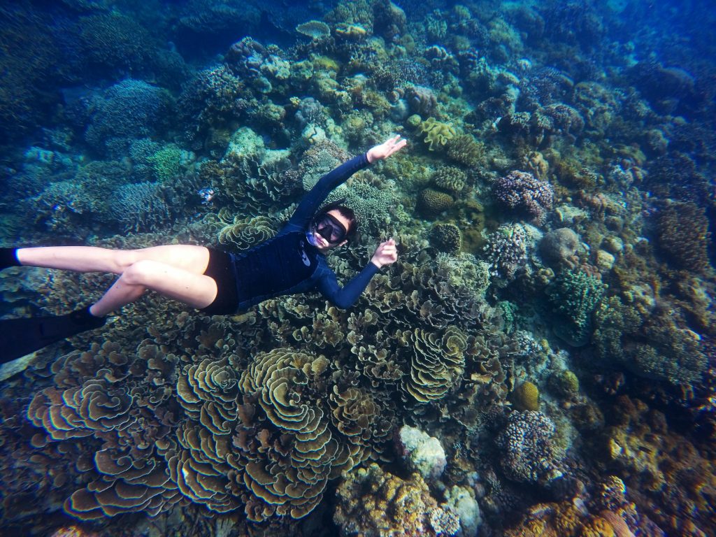 Plongée sous marine