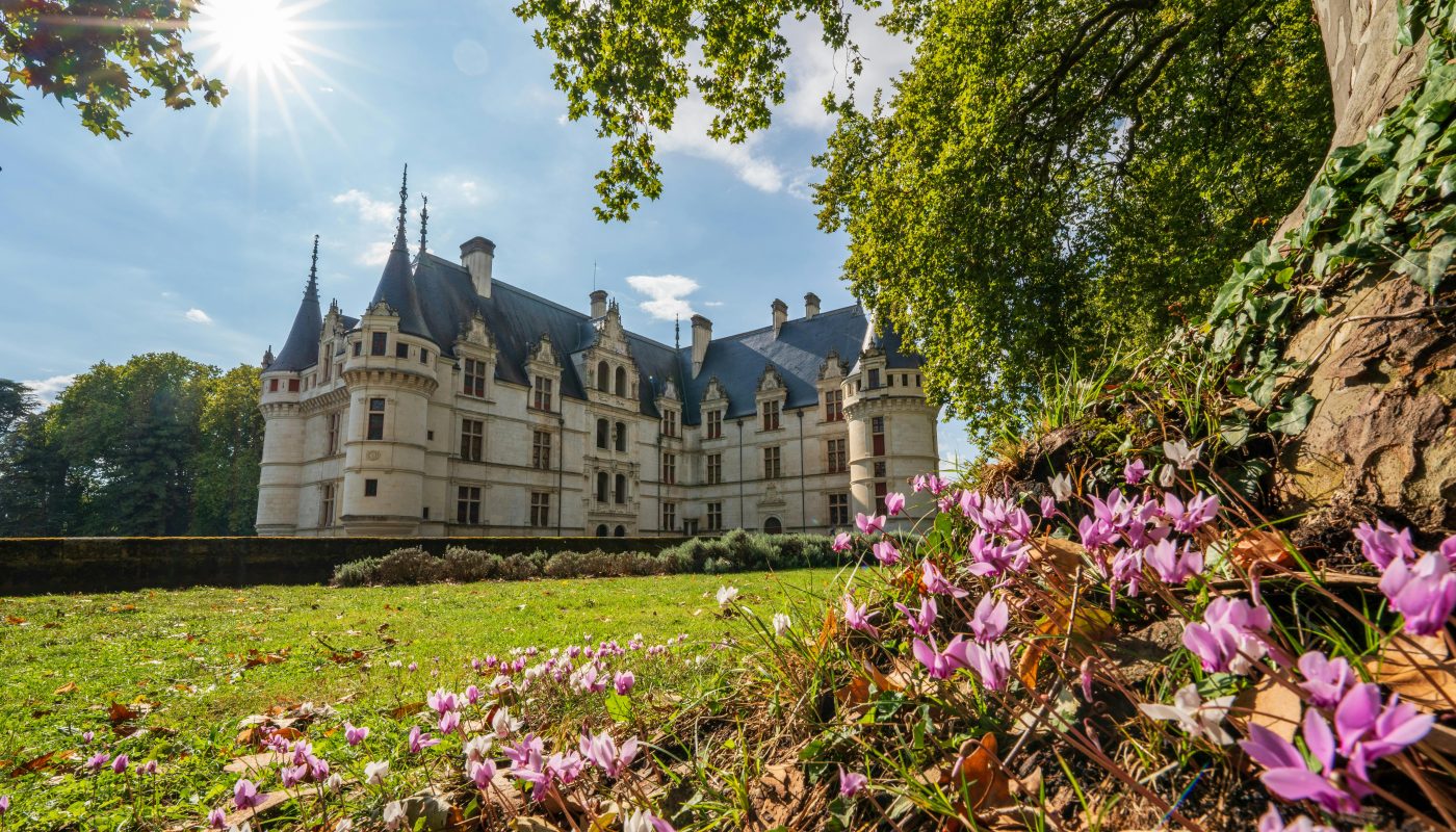 Chateau de La Loire Patrimoine tourisme culturel
