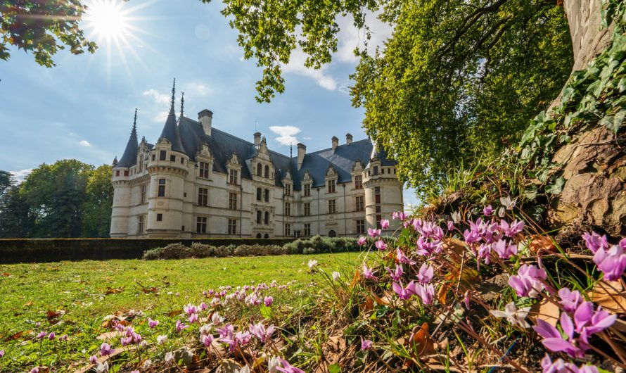 Quels sont les sites du patrimoine historique à absolument découvrir ?