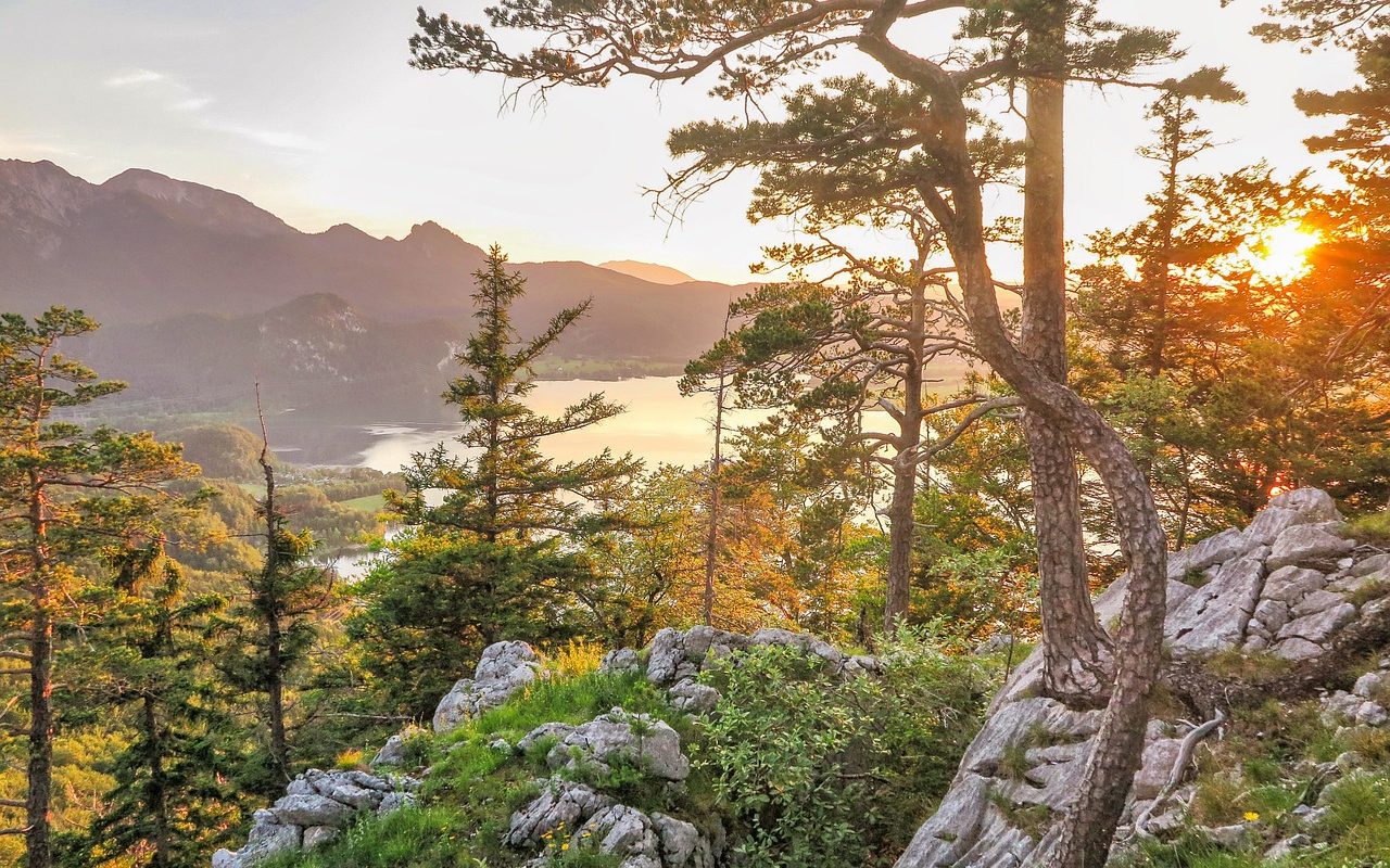Ecotourisme Voyage responsable