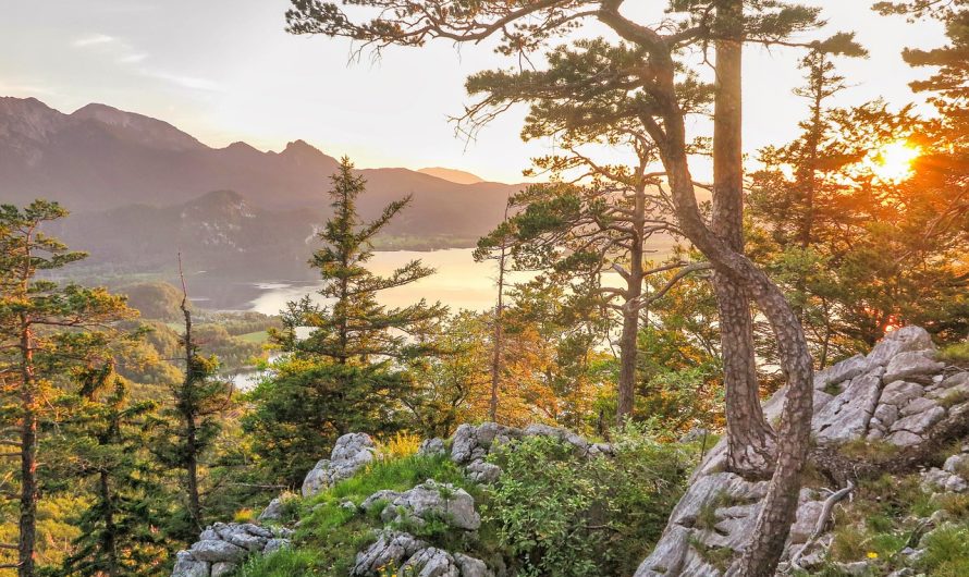 Qu&rsquo;est-ce que l&rsquo;écotourisme ?