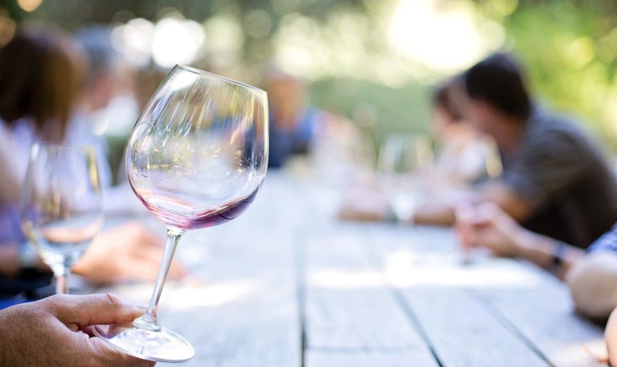 Quels sont les meilleures destinations pour un voyage gastronomique pour déguster du vin ?