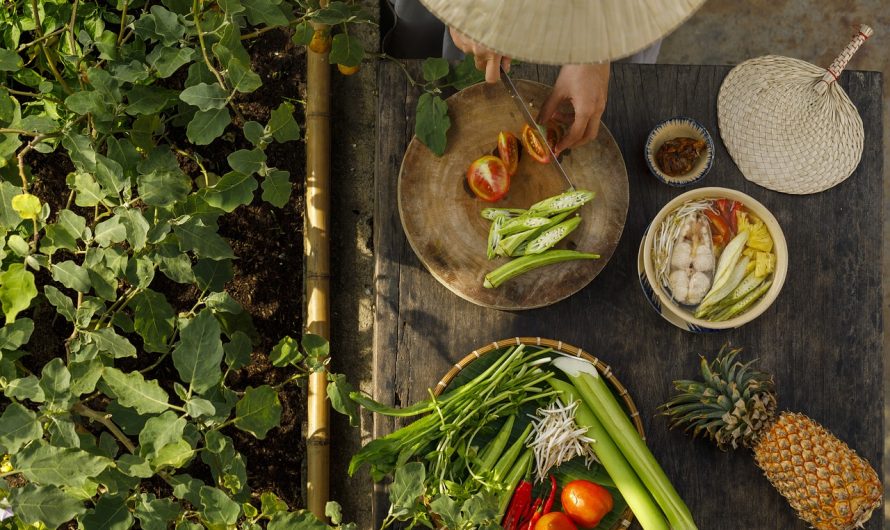 Où découvrir de la cuisine traditionnelle ?